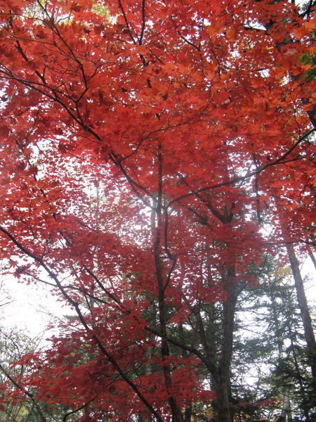 Марина Власюк