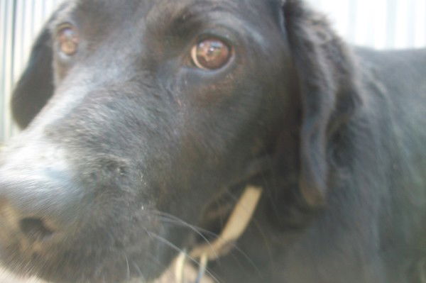 Виктор Забелин