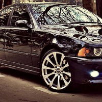 Никита Голубцов