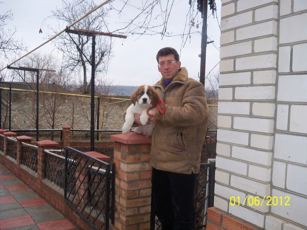 Андрей Жеманов