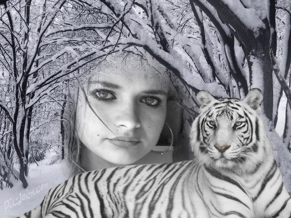 Виктория Ндрек