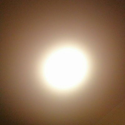 Дима Кожуховський