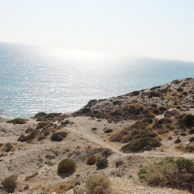 Катя Виноходова