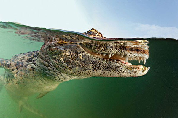 Айрат Необезон