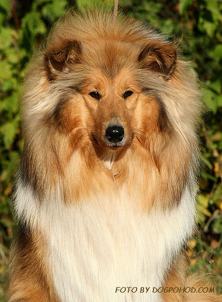 Наталия Добрецова