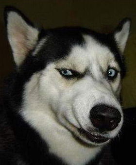 Евгений Скоморохов