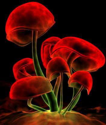 Максим Драгунов