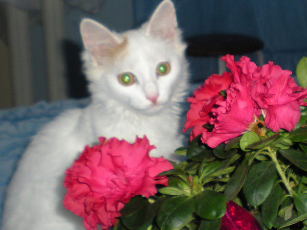 Марина Осипова