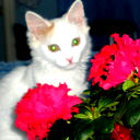 Марина Осипова