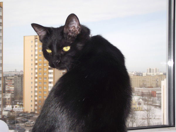 Екатерина Лукашик