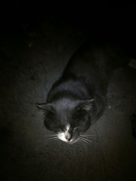 Андрей Минин