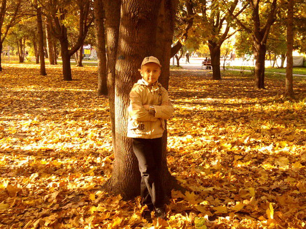 Семён Комлев