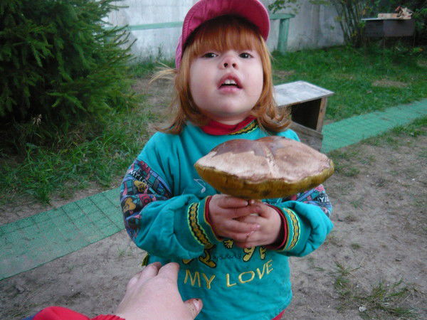 Александр Лобанов