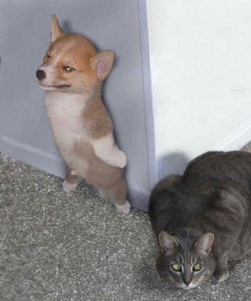 Бугай Захар