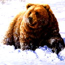 Артур Кальницкий