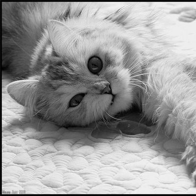 Ксюша Фролова