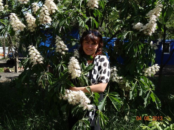 Татьяна Колесникова