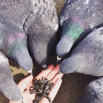 Дария Озимова