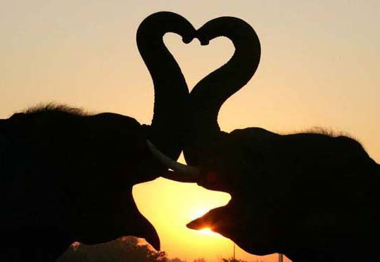 Виктор Денисов