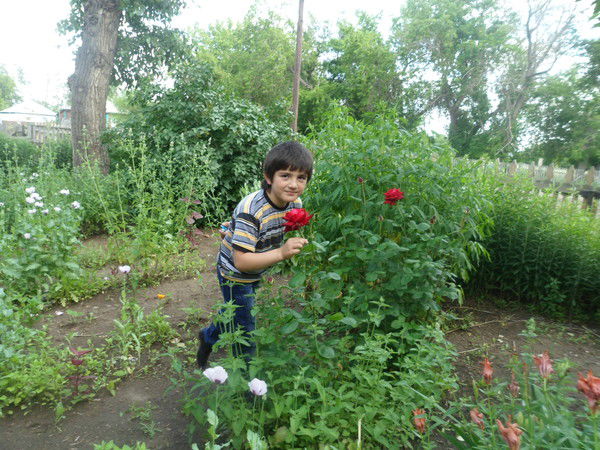 Фарид Кюлмамедов