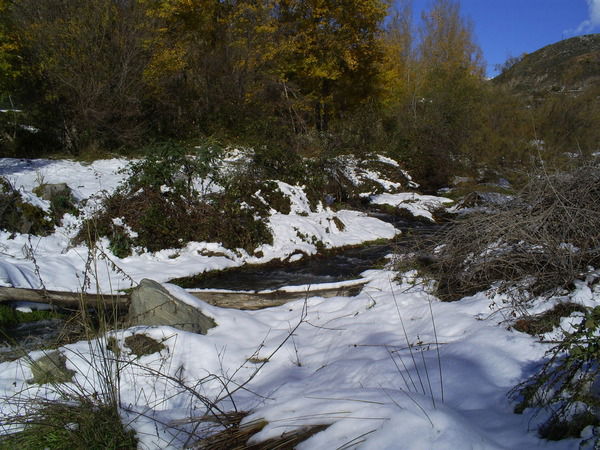 Viacheslav Lagutenok