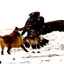 Султан Усербаев