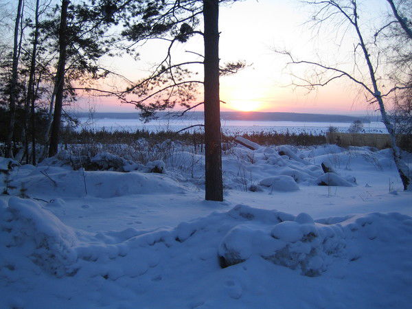 Светлана Павлова