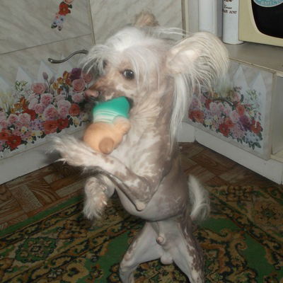 Алексей Перминов