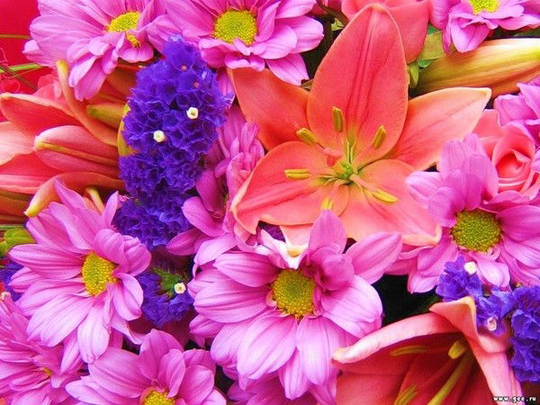 Бахыт Кушекова