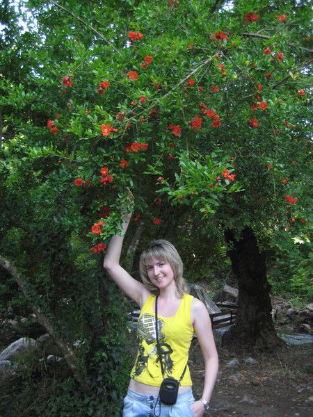 Елизавета Шишонкова