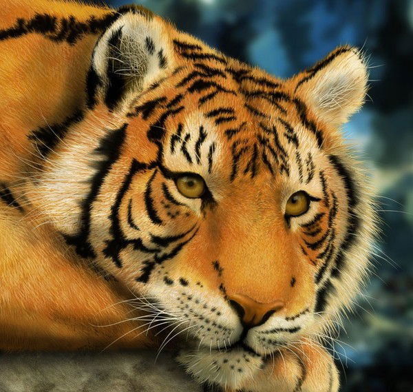 Никита Третьяков