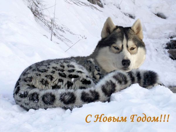 человек красив душою человек какая внешность может с ней сравниться. Смотреть фото человек красив душою человек какая внешность может с ней сравниться. Смотреть картинку человек красив душою человек какая внешность может с ней сравниться. Картинка про человек красив душою человек какая внешность может с ней сравниться. Фото человек красив душою человек какая внешность может с ней сравниться