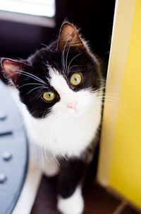 Алина Краснова