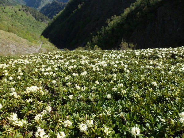 Александр Сергеевич