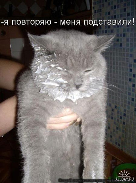 Константин Бродский