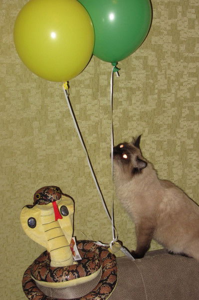 Кравченко Надежда