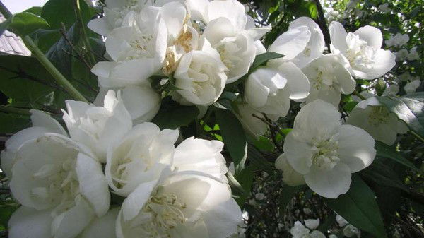 Геннадий Тугаринов