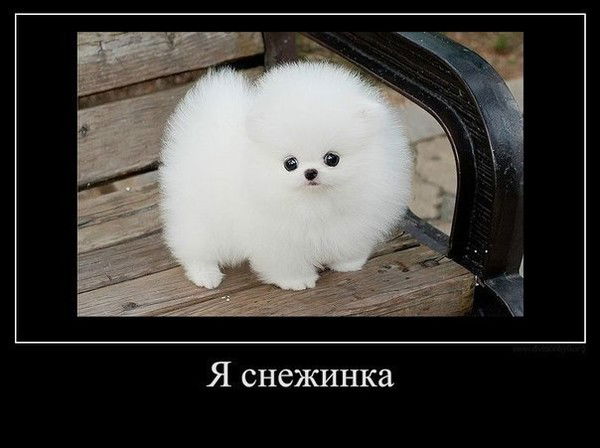 Татьяна Малышкина