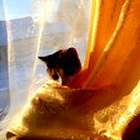 Ольга Солопий