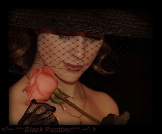 <^~ ***black Panther*** ~^ >