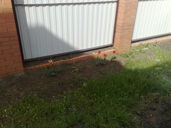 Андрей Иванов