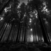 Влад Шкурихин