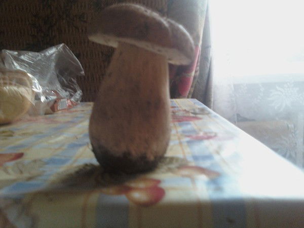 Олег Подгорный