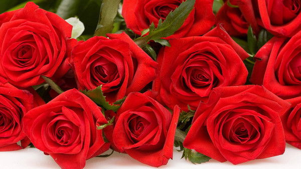 Эльвира Крюк