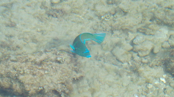 Жорик Райковский