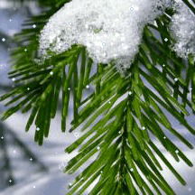 Наталья Хатова