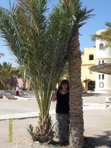 Ирина Игнатьева