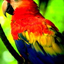 Влад Кулешов