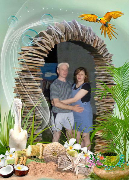 Елена Новикова