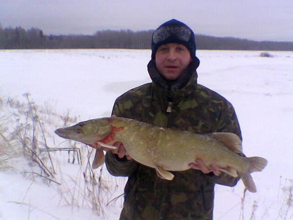 Сергей Митрохин